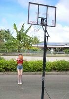 Hashimoto Arina