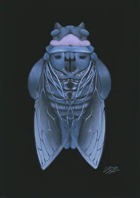 This is a picture by former AKB artist Kaoru Mitsumune Mr./Ms. 4th image
