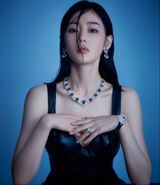 中國影視女演員獲第2屆橫店影視文榮獎最佳女配角獎--Zhang Tianai