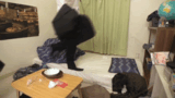 No bra loose ... - Mischief to the synchronous girl who is sleeping defenselessly! ?? GIF image of a tsundere girl falling into a female