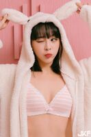 這可愛萌樣 勾起讓人想征的慾望