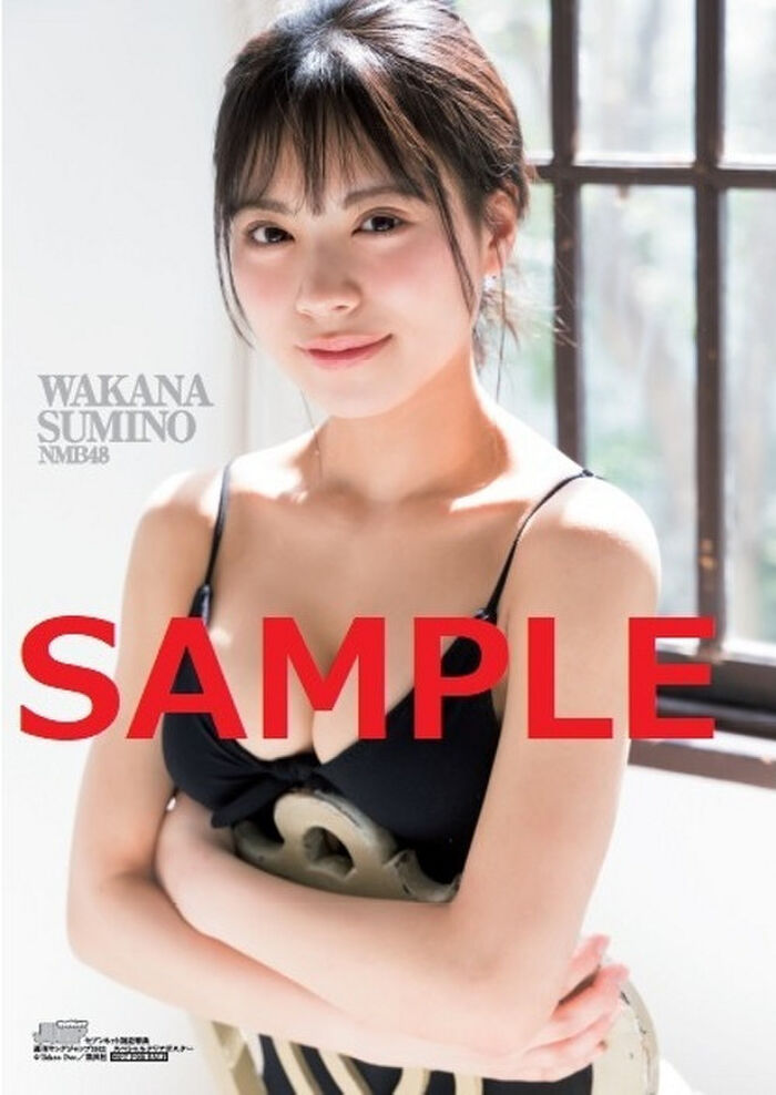 [Image] NMB48's big breasts, Kazuo Sumino, who shows off her naughty nymphomaniac gravure, annoys fans with a succubus cosplay that shows her cleavage!! 25th image