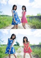 Miku Ito Moe Kaeda 人氣聲優組合Pyxis二選一?
