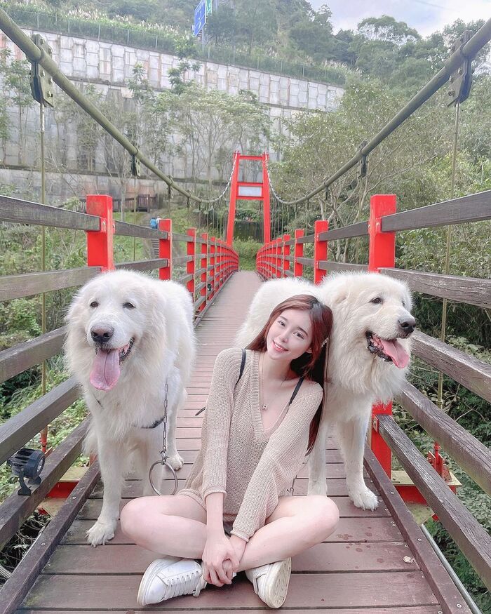 絕美副總,神苡柔 22th image