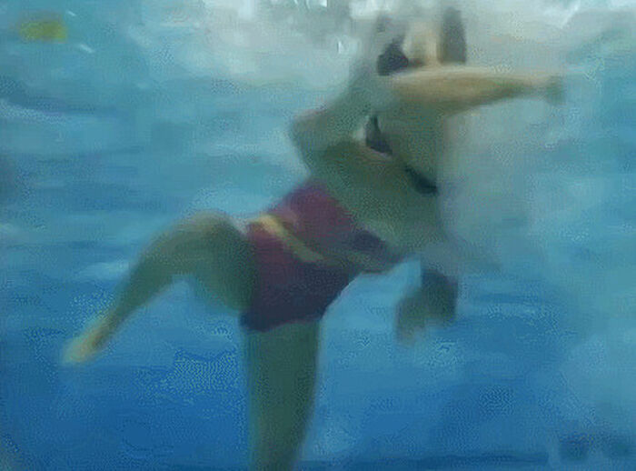 [part2] 71 underwater erotic GIF images! Boobs and buttocks that shake with buoyancy that feels cool 43th image