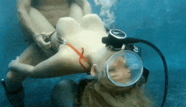 [part2] 71 underwater erotic GIF images! Boobs and buttocks that shake with buoyancy that feels cool 7th image